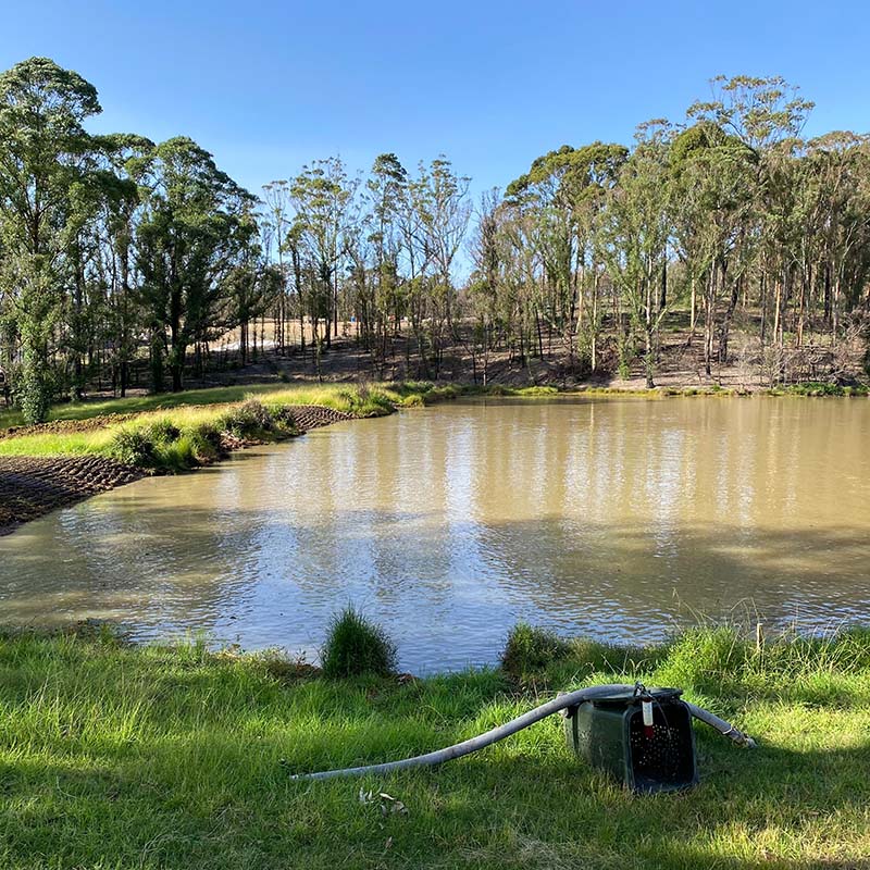 clean dam