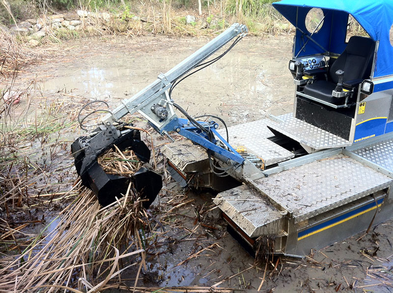 reed crunch harvest