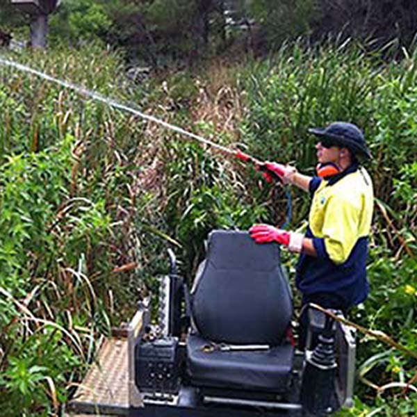 Herbicide Treatment