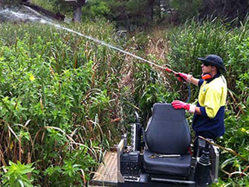 weed_spraying 800x600
